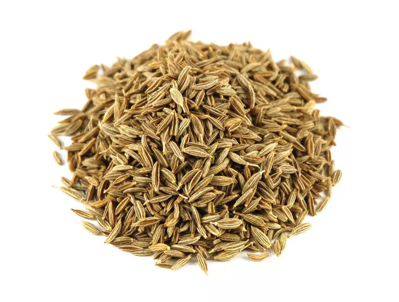 Cumin Herb Seeds 250+ | Cuminum cyminum | Culinary Spice for Gardening & Cooking