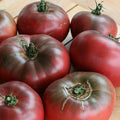 Cherokee Purple Tomato Seeds | Heirloom Non-GMO Solanum lycopersicum | Juicy Deep Purple Tomatoes for Gardens & Containers