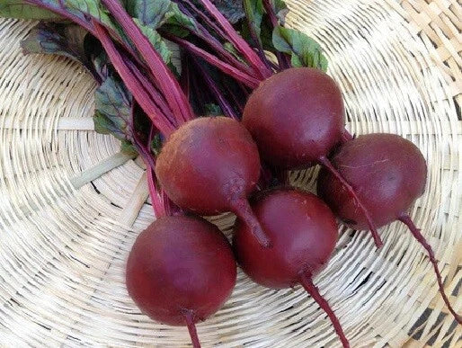 Beet Seeds - 8,000 Count - Detroit Dark Red Beta vulgaris - Frost Hardy, Globe-Shaped Roots, Popular Variety