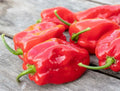 Red Habanero Pepper Seeds – 25 Premium Capsicum chinense, Super-Hot, Fresh, Non-GMO, for Gardening & Culinary Use