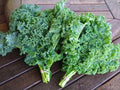 Kale Seeds - 15 Pack - Non-GMO Brassica oleracea - Organic Vegetable Seeds for Home Gardening