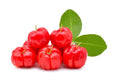 Acerola Cherry Seeds - 10+ Pack for Garden Planting - Malpighia emarginata - Tropical Fruit Tree Seeds