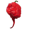 Carolina Reaper Pepper Seeds | Non-GMO Heirloom | Hot Chili Pepper | Capsicum chinense | Spicy Hot Pepper Seeds