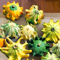 Crown of Thorns Ornamental Gourd Seeds - 10 Decorative Seeds for 2025 Planting - Cucurbita pepo, Vibrant Colors & Unique Shapes