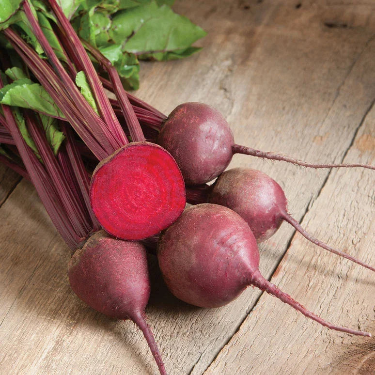 Organic Beet Seeds - Ruby Queen Beta vulgaris for Home Gardening, Bountiful Harvest
