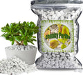 Organic Chunky Perlite for Plants, 1 Quart, 0.4"-0.8" Diameter, Soil Aeration, Drainage, Hydroponics, Perlite Soil Amendment