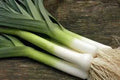 Leek Seeds 500 Non-GMO American Flag Heirloom Allium ampeloprasum for Garden & Culinary Use