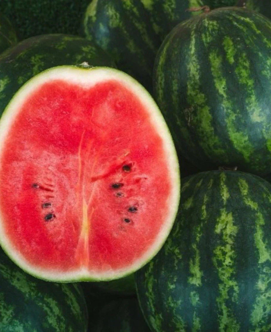 Florida Giant Watermelon Seeds - Non-GMO, 100 Seeds, Sweet Citrullus lanatus, Large Fruit for Summer Gardening