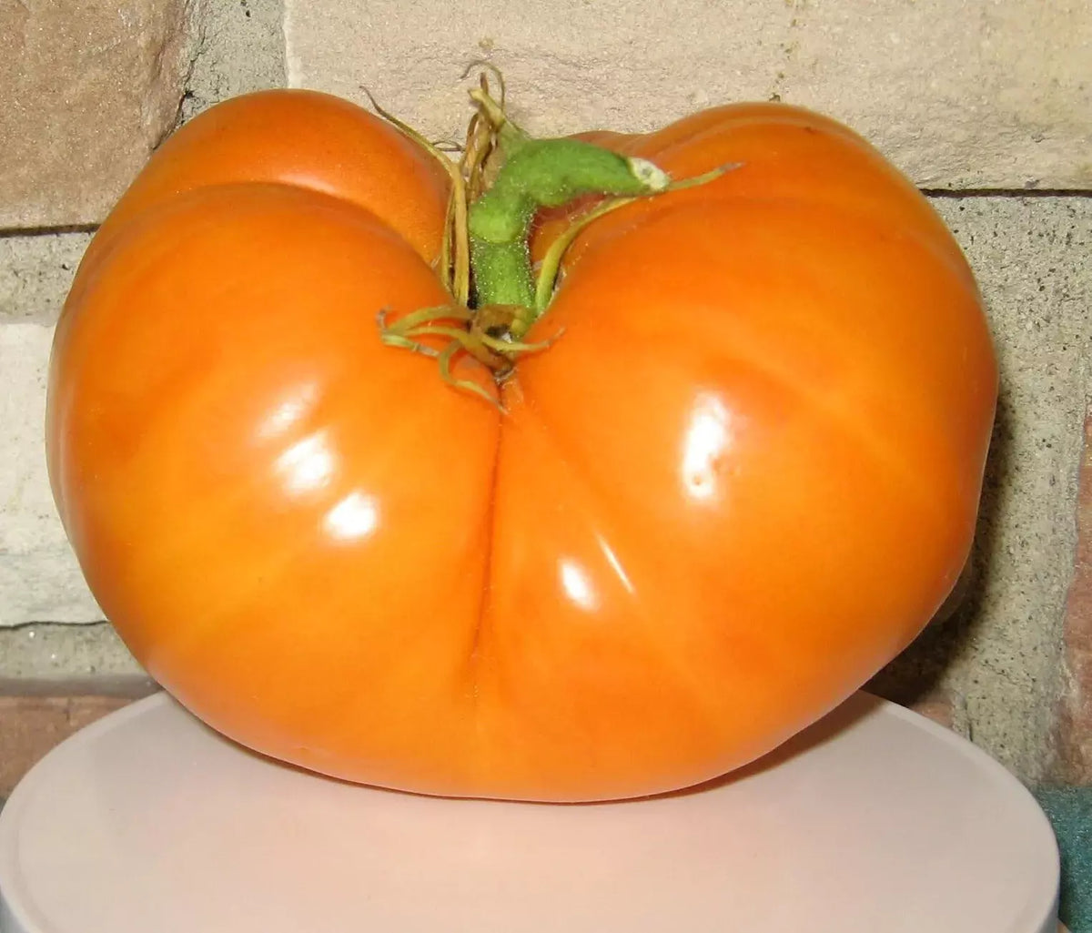 Organic Amana Orange Tomato Seeds – Heirloom Non-GMO, 30+ Premium Seeds for Home Gardening, Juicy Orange Tomatoes, Solanum lycopersicum
