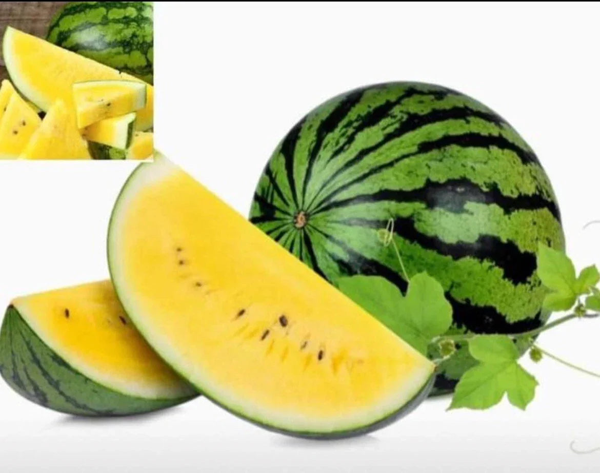 Sweet Petite Yellow Watermelon Seeds – Heirloom Non-GMO Citrullus lanatus, 15+ Seeds for Home Garden & Container Planting