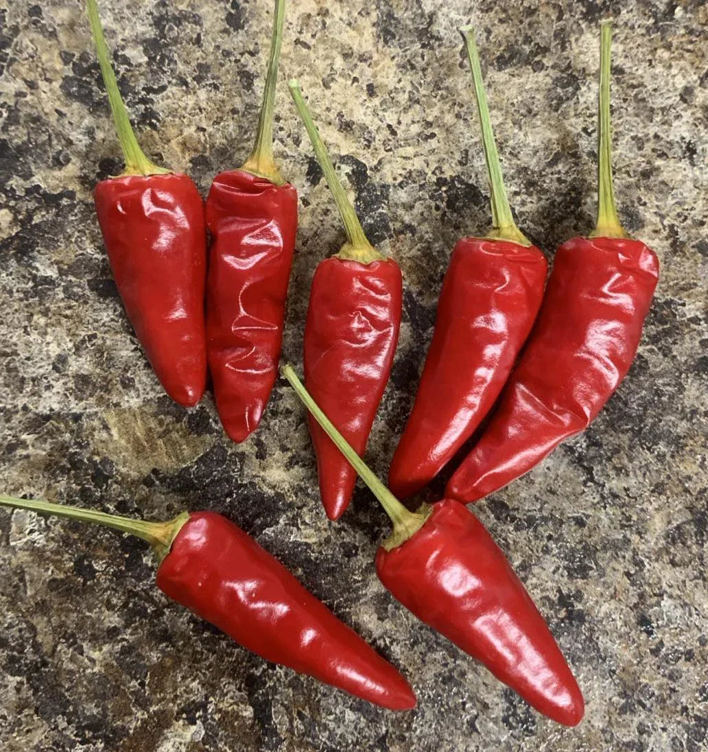 Paprika Seeds - Heirloom Non-GMO Capsicum Annuum for Spicy Flavor, Compact Plant, 25 Seeds