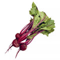 Beet Seeds - 500+ Count - Early Wonder Beta vulgaris Heirloom Vegetable Seeds for Home Garden
