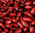 Dark Red Kidney Bush Bean Seeds - Non-GMO, Phaseolus vulgaris, for Baked Beans & Chili, Compact Growth, Full Sun