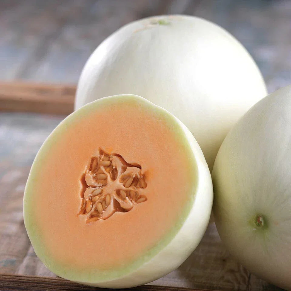 Orange Honeydew Melon Seeds, Heirloom Non-GMO Cucumis melo, Juicy Orange Flesh, Vining Fruit, Packet of 25 Seeds
