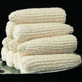 Silver Queen Corn Seeds - High Yield, Sweet Zea mays, Fresh Gardening Seeds for Home & Farm