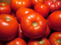 Rutgers Tomato Seeds - 15 Pack, Heirloom Solanum lycopersicum, Slicing, Juicy, Organic, Disease-Resistant, Home Garden