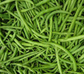 Burpee Stringless Green Bean Seeds - 1/4 LB, Non-GMO, Phaseolus vulgaris, Climbing Vegetable Seeds for Garden, Tender, Stringless