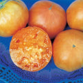 Kellogg's Breakfast Tomato Seeds - Organic Heirloom Solanum lycopersicum - Juicy Yellow-Orange Fruits, Non-GMO, 30+ Seeds