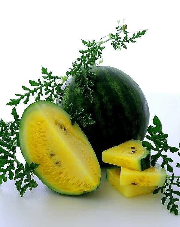 Golden Honey Watermelon Seeds - Non-GMO Heirloom Citrullus lanatus, Pack of 10+ for Home Garden, Juicy, Sweet Melons
