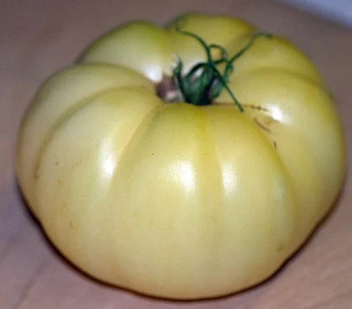 Great White Tomato Seeds - Heirloom Solanum lycopersicum, Mild Flavor, Low Acid, 20 Pack for Garden & Container Growing