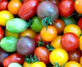 Rainbow Cherry Tomato Seeds - Organic Non-GMO Heirloom Variety for Home Gardening & Containers - Solanum lycopersicum