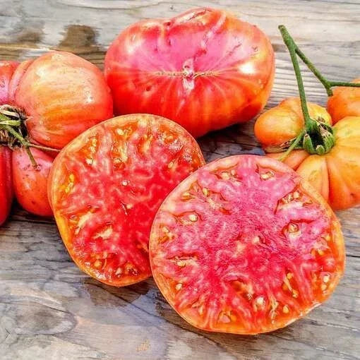 Heirloom Hillbilly Tomato Seeds - Organic Non-GMO Solanum lycopersicum, 30+ Seeds for Home Garden, Juicy Yellow-Orange Tomatoes
