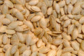 Delicata Squash Seeds 20 Pack - Jester Variety - Cucurbita Pepo - Vining, Decorative & Edible