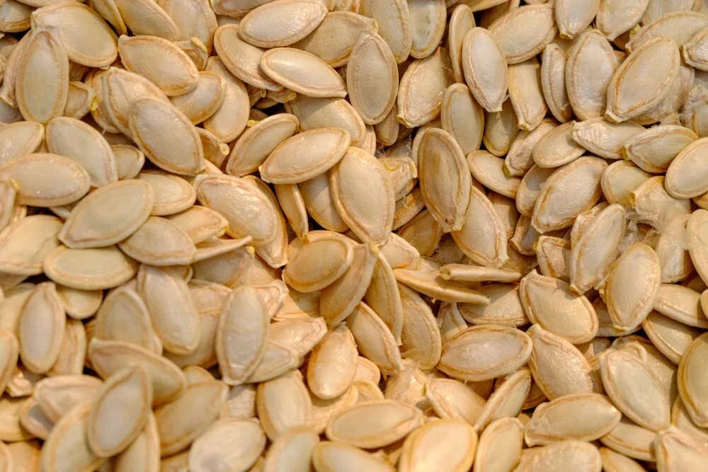 Delicata Squash Seeds 20 Pack - Jester Variety - Cucurbita Pepo - Vining, Decorative & Edible