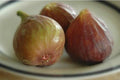 Ficus Carica 'Celeste' Fig Live Plant Cuttings – Set of Three, Fruit-Bearing, Organic, Healthy, Garden or Indoor Plant