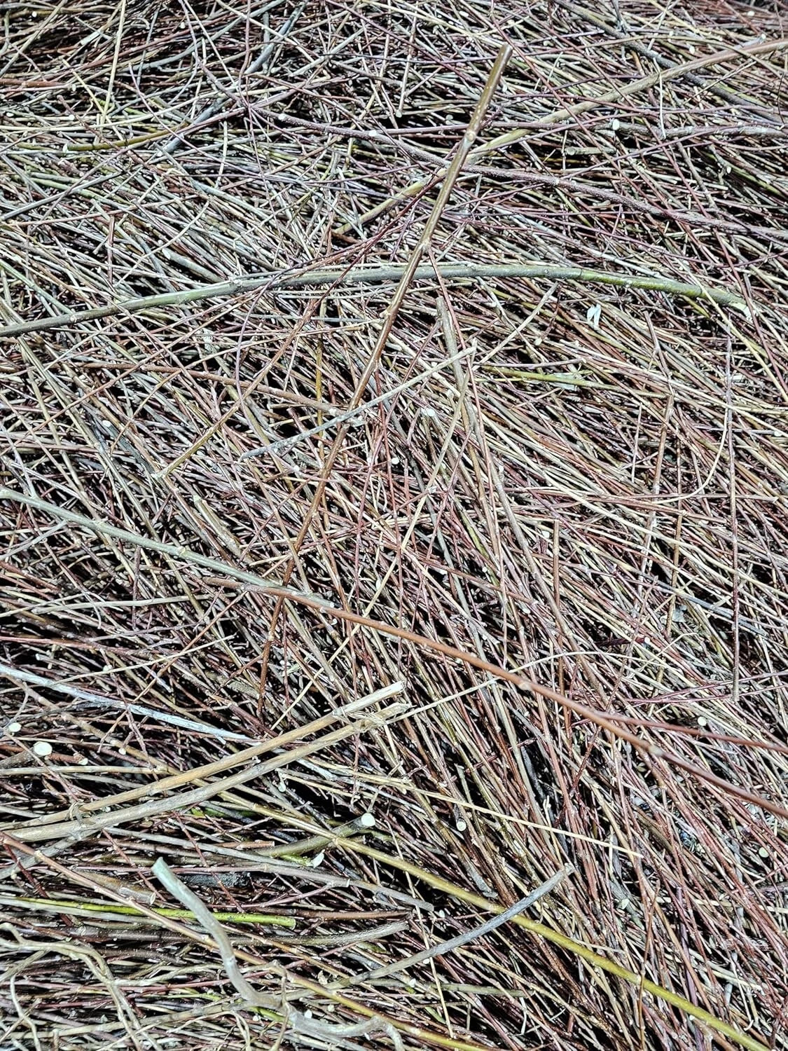 Natural Willow Tree Straw Mulch & Animal Bedding - Organic Salix spp. Eco-Friendly Plant Material