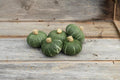 Kabocha Squash Seeds - Dwarf Sweet Jade Variety - Cucurbita maxima - Easy to Grow for Small Gardens & Containers