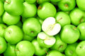 Granny Smith Apple Scion Cuttings 6-10 in for Grafting Malus domestica Fruit Tree Propagation
