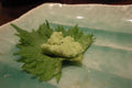 Green Shiso Seeds - Japanese Perilla Herb Seeds for Culinary & Gardening - Perilla frutescens var. crispa, Non-GMO, Heirloom, Tracking Included