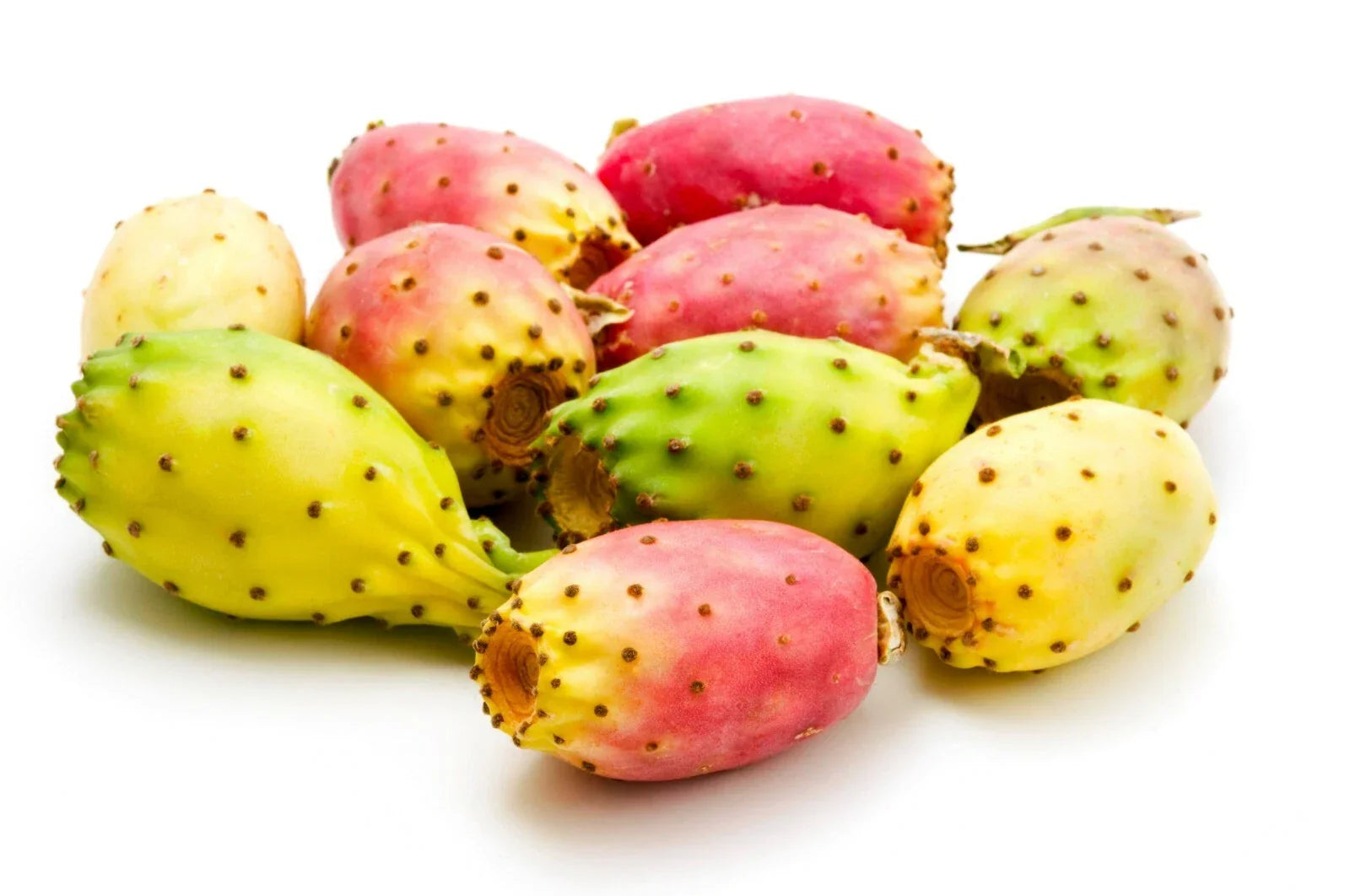 Cactus Pear Seeds - Opuntia ficus-indica - Edible Fruit, Drought-Resistant, Garden & Container Plant, 10 Pack, US Seller Free Shipping
