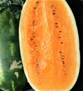 Tendersweet Orange Watermelon Seeds – Non-GMO Citrullus lanatus for Home Garden, Juicy Fruit, Vining, Pack of 25 Seeds