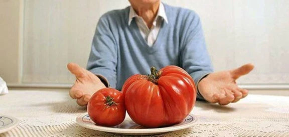 Behemoth Giant Tomato Seeds – Heavy Yielding Large Fruit Variety – Solanum lycopersicum – Home Garden, Canning, Salad