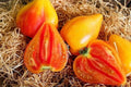 Orange Oxheart Tomato Seeds - Heirloom Organic Non-GMO, 120+ Solanum lycopersicum, Juicy Orange Tomatoes for Garden & Containers