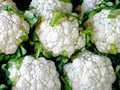 Cauliflower Seeds 1/4 lb Snowball Y Improved Heirloom Brassica oleracea Vegetable for Garden
