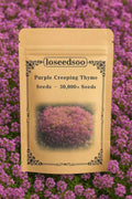 Creeping Thyme Seeds - 30000+ Purple Ground Cover Perennial - Non-GMO Heirloom