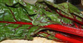 Heirloom Rhubarb and Swiss Chard Seeds Pack – Non-GMO Organic Gardening, 1000 Seeds for Home Garden, Easy to Grow