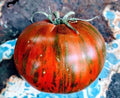Vintage Wine Striped Tomato Seeds - Heirloom Beefsteak - Organic, Non-GMO, 120+ Seeds for Home Garden & Container Planting