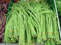Asian Long Bean Seeds - 30 Seeds, Sweet Tende Variety, Climbing Vine, Vigna unguiculata subsp. sesquipedalis, Fast Growing Vegetable