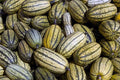 Delicata Squash Seeds - 25+ Non-GMO Cucurbita pepo for Garden Planting, Home & Container Gardening
