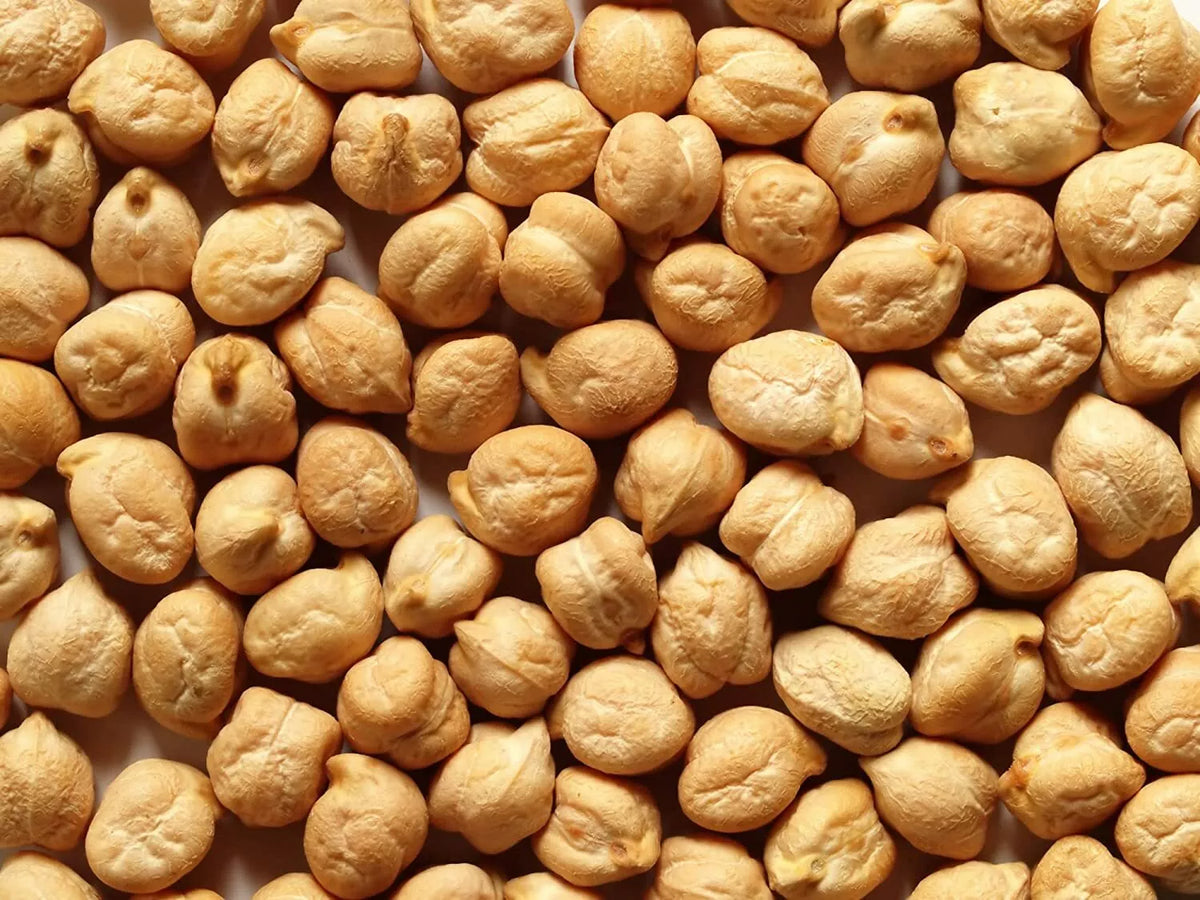 Organic Garbanzo Bean Seeds - 200 Count, Cicer arietinum, Edible Chickpeas for Gardening & Cooking