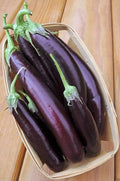 Long Purple Eggplant Seeds - Non-GMO Heirloom Vegetable Seeds for Planting - Solanum melongena