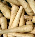 All American Parsnip Seeds - Non-GMO Pastinaca sativa Root Vegetable Pack of 100 for Home Garden