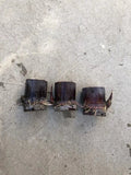 Rooted Sugar Cane Cuttings - 3 Pcs Dark Purple Saccharum officinarum for Garden, Landscaping, and Homegrown Sweet Juicy Plant