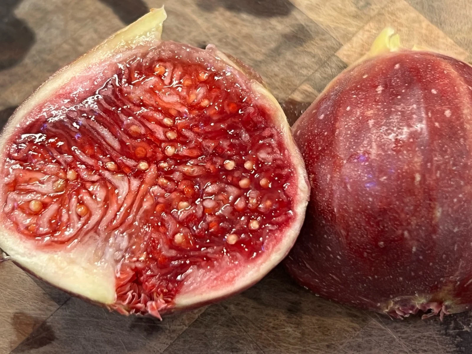 Wilson’s Coyote Rainbow Fig Cuttings – 3 Unrooted Ficus carica Variety for Planting, Colorful Fruit Starter