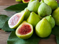 Green Ischia Fig Tree Cuttings - 2 Unrooted Ficus Carica Cuttings with Natural Willow Water