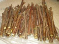 American Elderberry Cuttings – 10 Unrooted Sambucus nigra Propagation Cuttings for Outdoor Planting